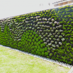 Muros Verdes 1