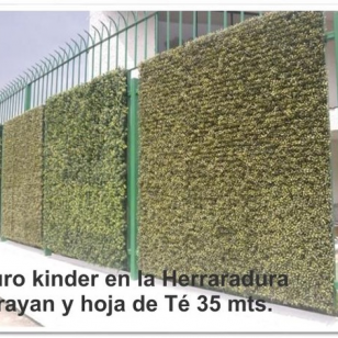 Muros Verdes 3